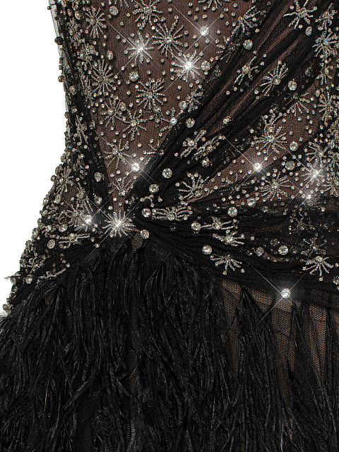 Black Feather & Rhinestone Maxi Dress, 4 Black Feather & Rhinestone Maxi Dress, 4