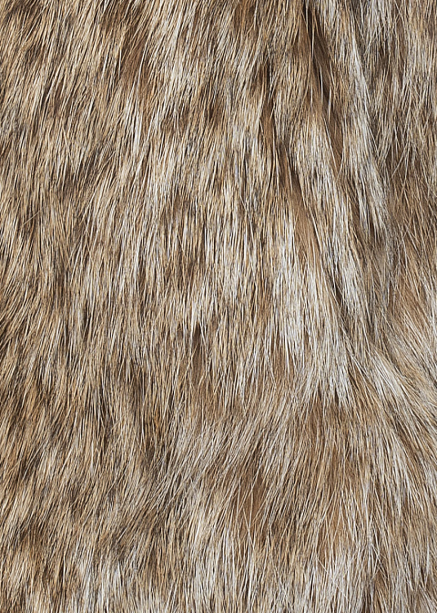 Bobcat Fur Blue Denim Jacket, 3