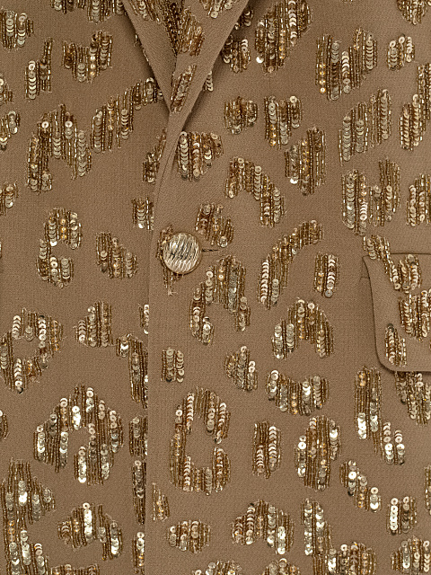 Brown Sequins Pant Suit, 6 Brown Sequins Pant Suit, 6