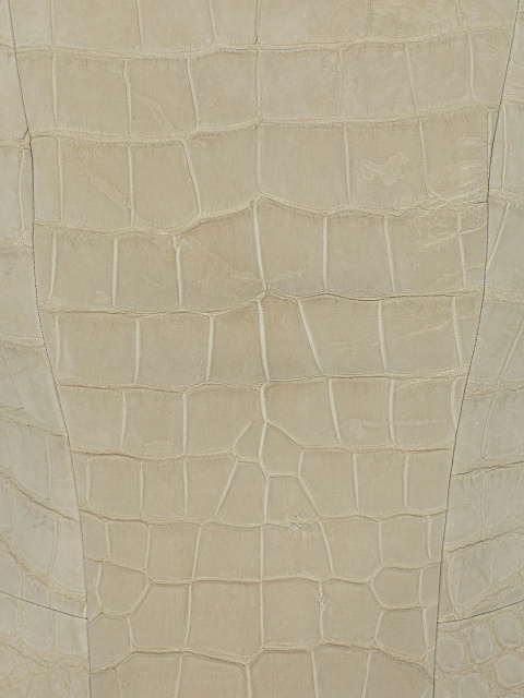 Beige Crocodile Leather Set, 6