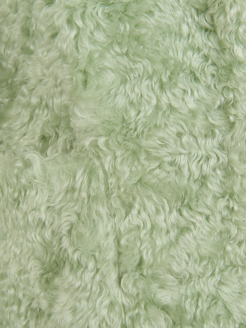 Mint Green Faux Fur Coat, 4 Mint Green Faux Fur Coat, 4
