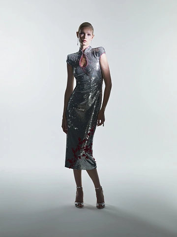 Silver Embroidered Sequin Midi Dress, 2