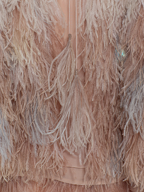 Chiffon cape with feathers, 3