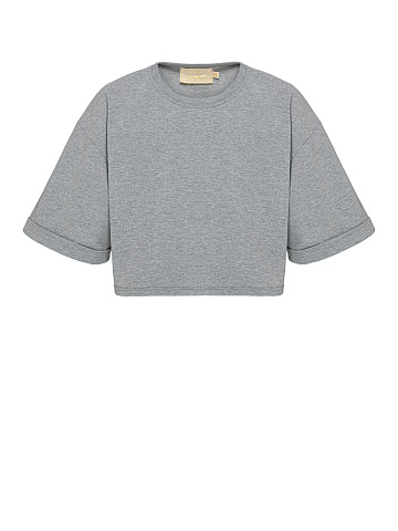 Gray cropped cotton T-shirt , 1