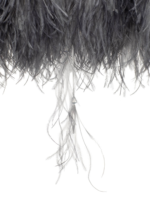 Grey Cropped Feather Jacket In Degrade Technique With Crystals, 4