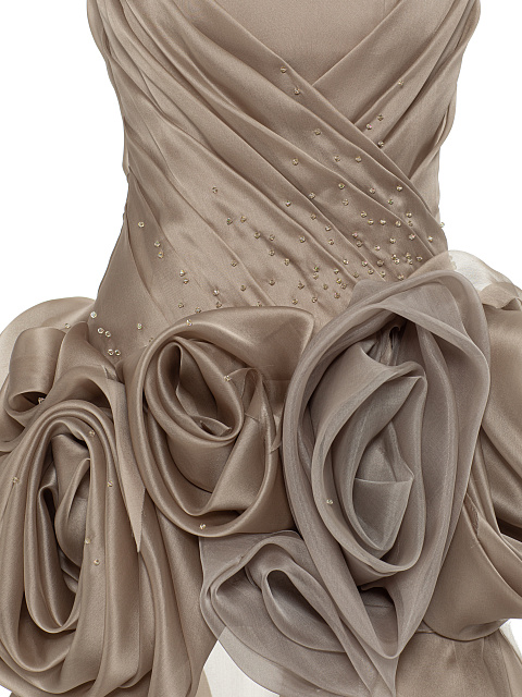 Beige Organza Maxi Dress, 4 Beige Organza Maxi Dress, 4